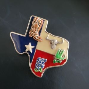 Texas Enamel Brooch/Pendant
